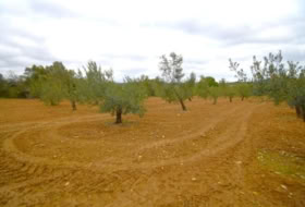 Foto 9