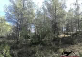 Non-developable land for sale on España, Vilaverd, ref: TR351241 photo