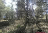 Non-developable land for sale on España, Vilaverd, ref: TR351241 photo