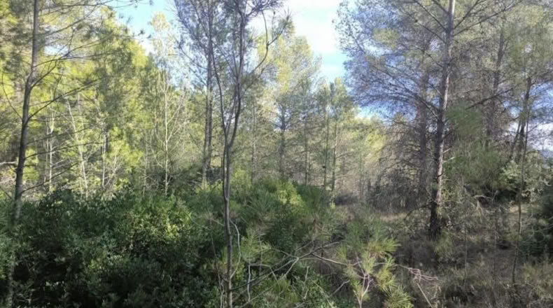 Таррагона - Vilaverd - 8542m2