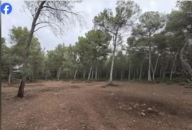 el Pla de Santa Maria 15000&nbsp;м²
