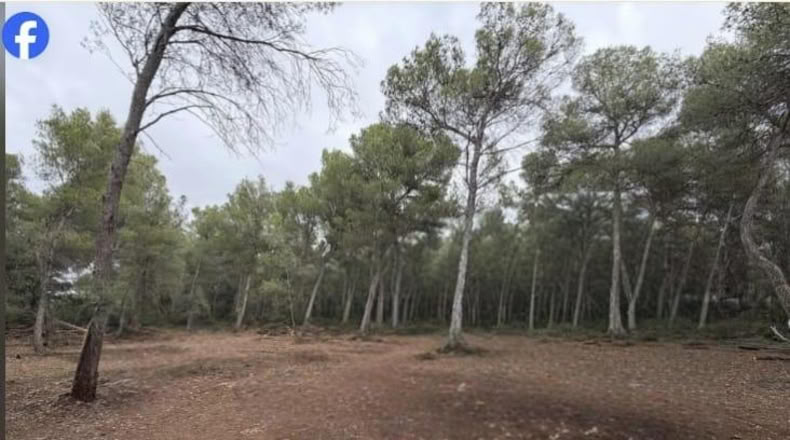 Tarragona - el Pla de Santa Maria - 15000m2