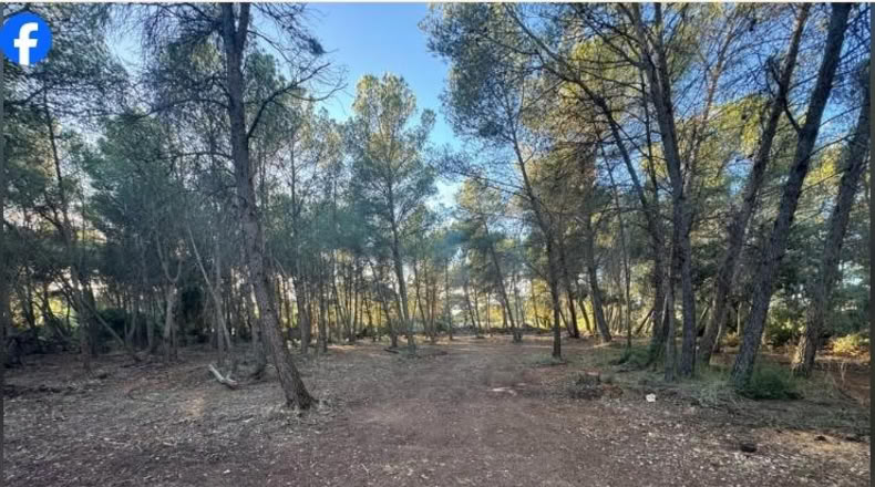 Tarragona - el Pla de Santa Maria - 15000m2