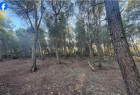 el Pla de Santa Maria 15000&nbsp;м²