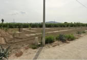 Non-developable land for sale on España, Orihuela, ref: TR355541 photo