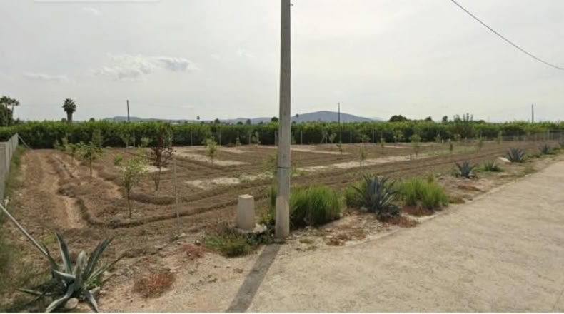 Alicante - Orihuela - 1735m2