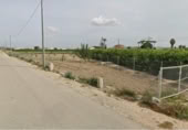 Non-developable land for sale on España, Orihuela, ref: TR355541 photo