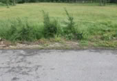Suelo urbano en venta en la España, Ponferrada, ref: TR379477 foto