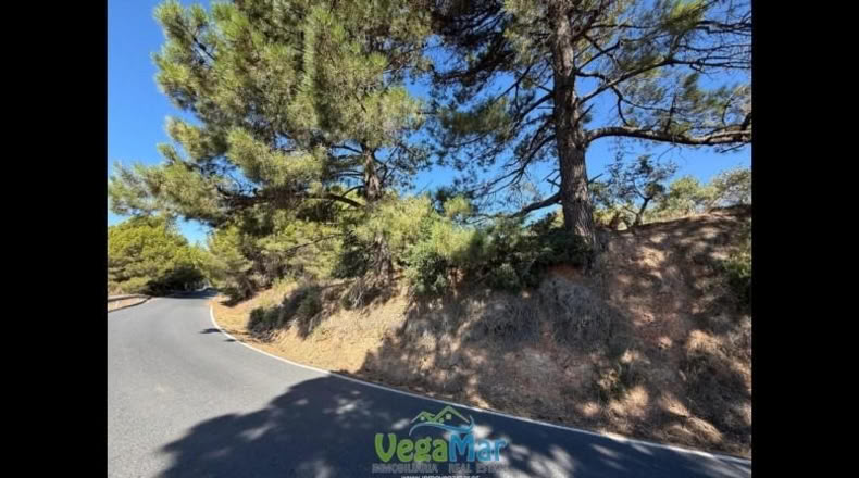 Granada - Otívar - 9200m2