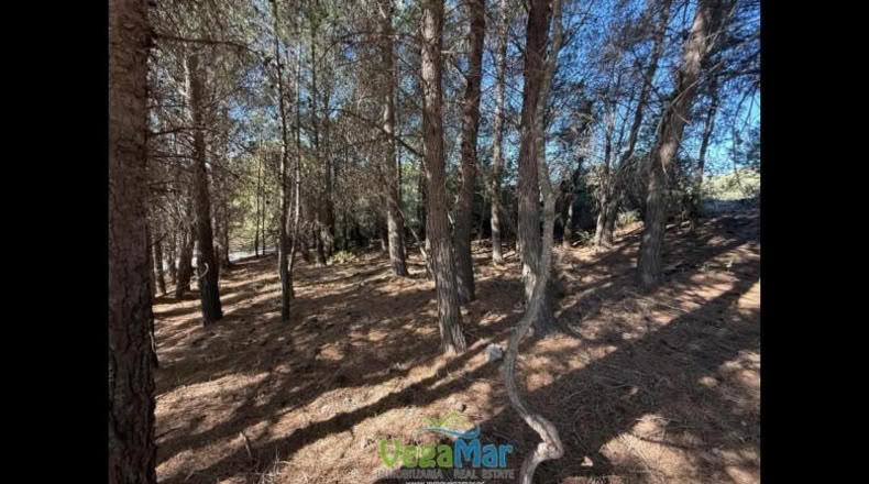 Granada - Otívar - 9200m2
