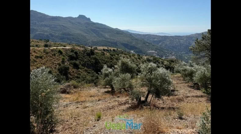 Granada - Otívar - 9200m2