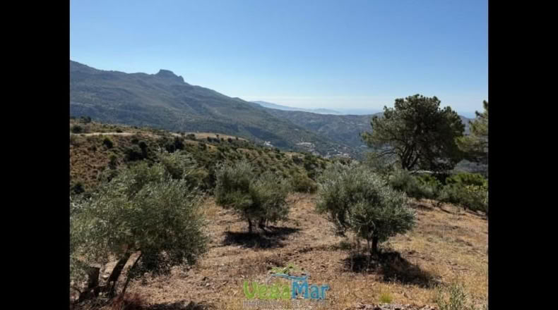 Granada - Otívar - 9200m2