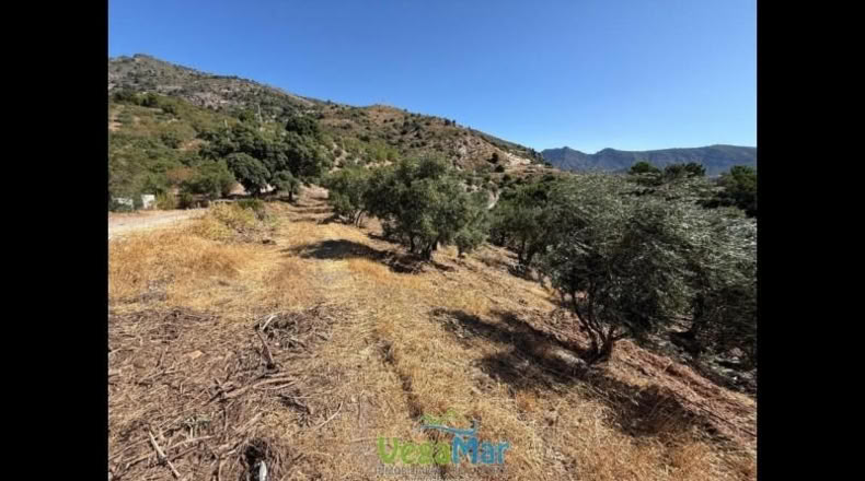 Granada - Otívar - 9200m2