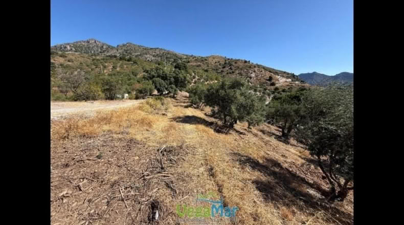Granada - Otívar - 9200m2