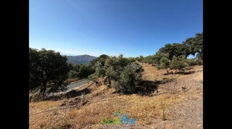 Granada - Otívar - 9200m2