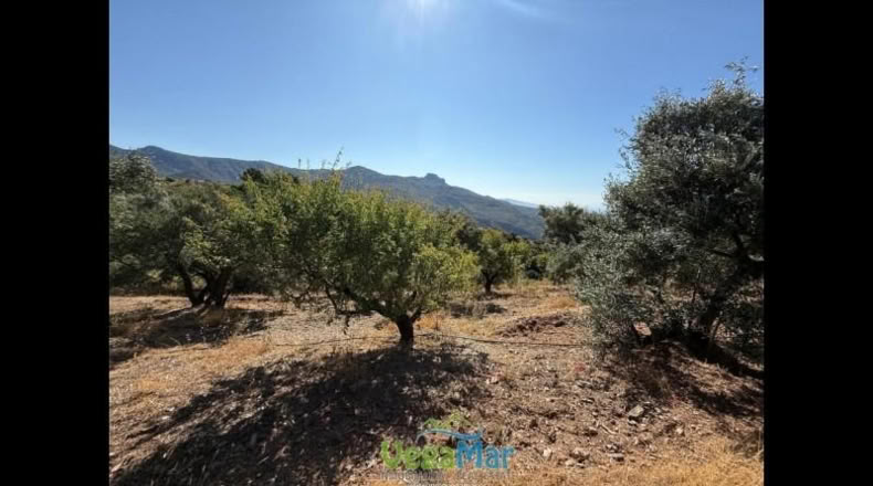 Granada - Otívar - 9200m2