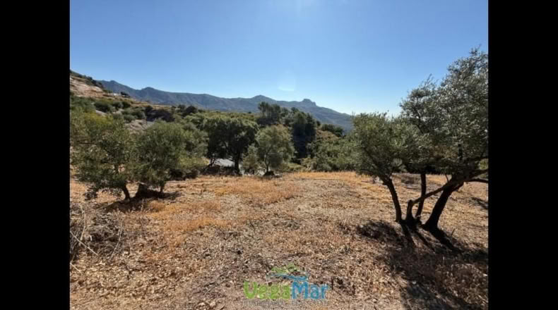Granada - Otívar - 9200m2