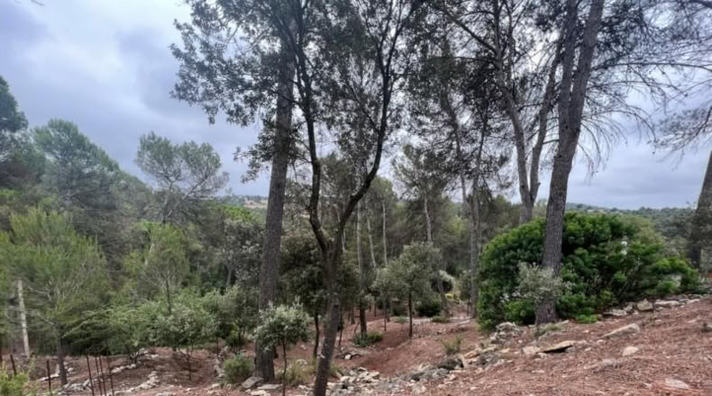 Barcelona - Castellnou de Bages - 640m2
