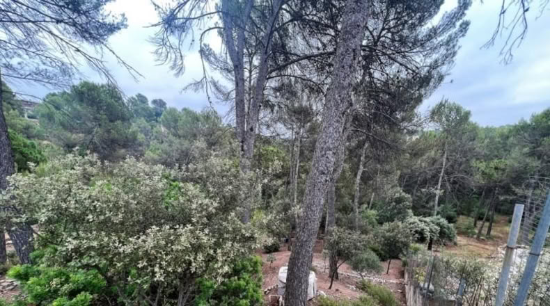 Barcelona - Castellnou de Bages - 640m2