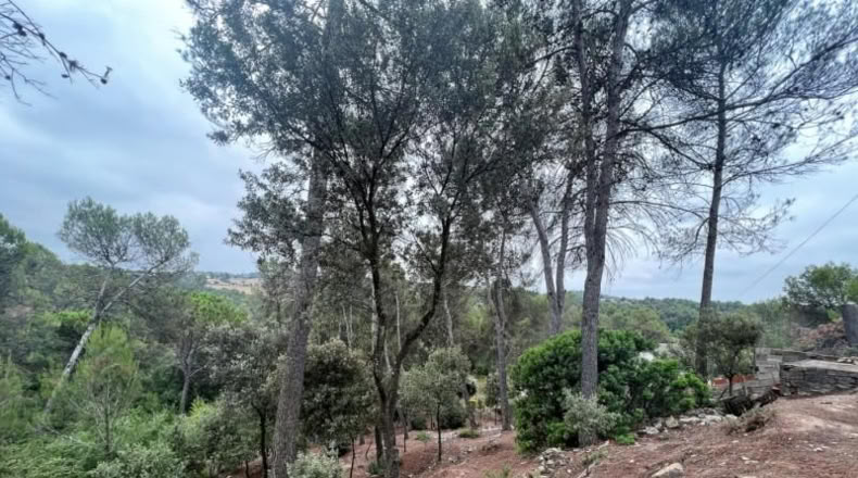 Barcelona - Castellnou de Bages - 640m2