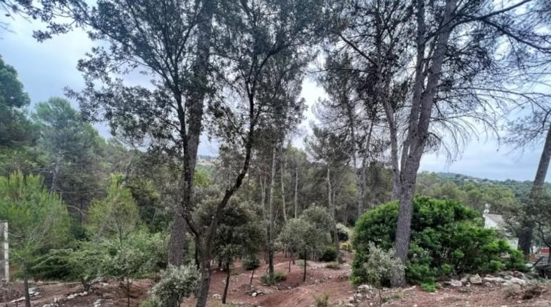 Barcelona - Castellnou de Bages - 640m2