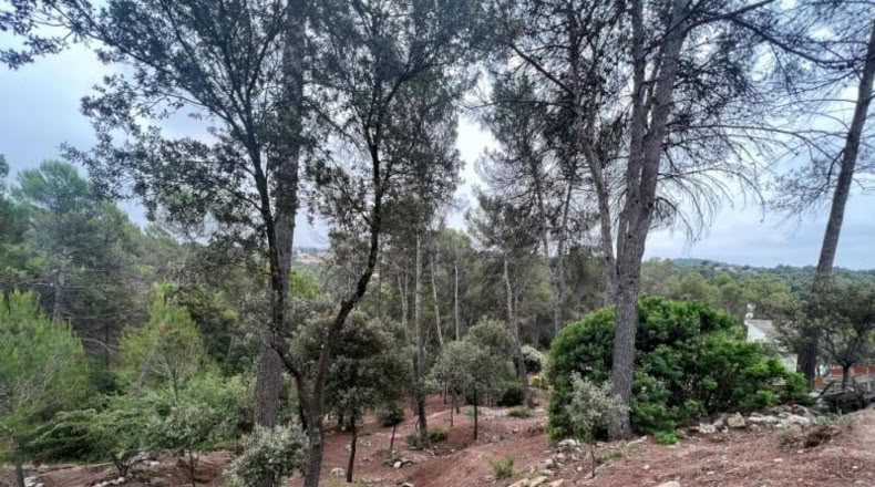 Barcelona - Castellnou de Bages - 640m2