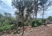 Sòl urbà en venda a la España, Castellnou de Bages, ref.: TR118072 foto