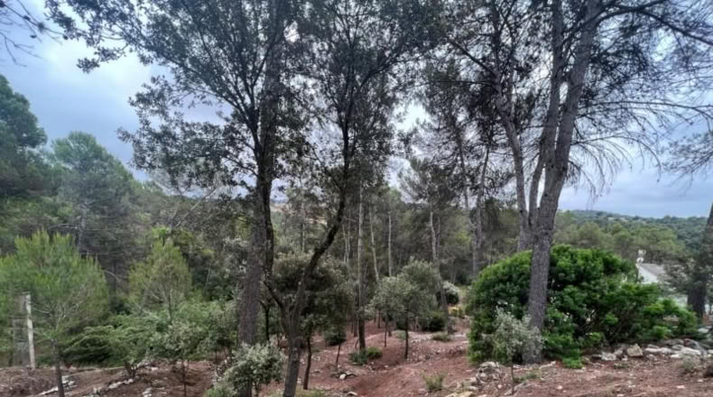 Barcelona - Castellnou de Bages - 640m2