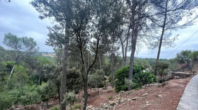 Barcelona - Castellnou de Bages - 640m2