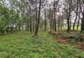 Terreny no urbanitzable en venda a la España, Santiago de Compostel·la, ref.: TR220776 foto