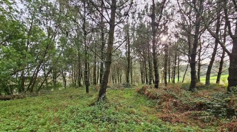 La Coruña - Santiago de Compostela - 13520m2