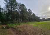 Terreny no urbanitzable en venda a la España, Santiago de Compostel·la, ref.: TR220776 foto