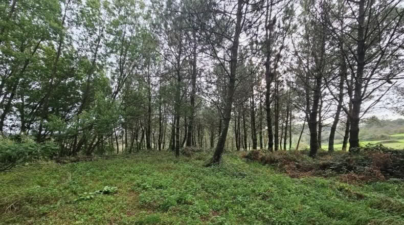 La Coruña - Santiago de Compostela - 13520m2