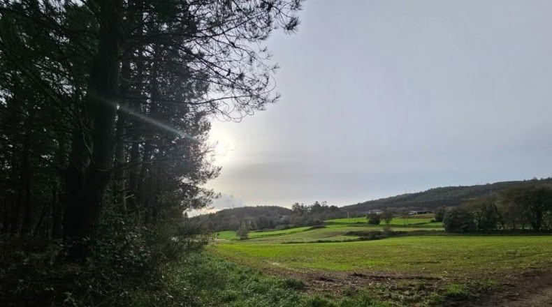 La Coruña - Santiago de Compostela - 13520m2