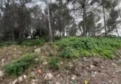 Sòl urbà en venda a la España, la Bisbal del Penedès, ref.: TR315962 foto