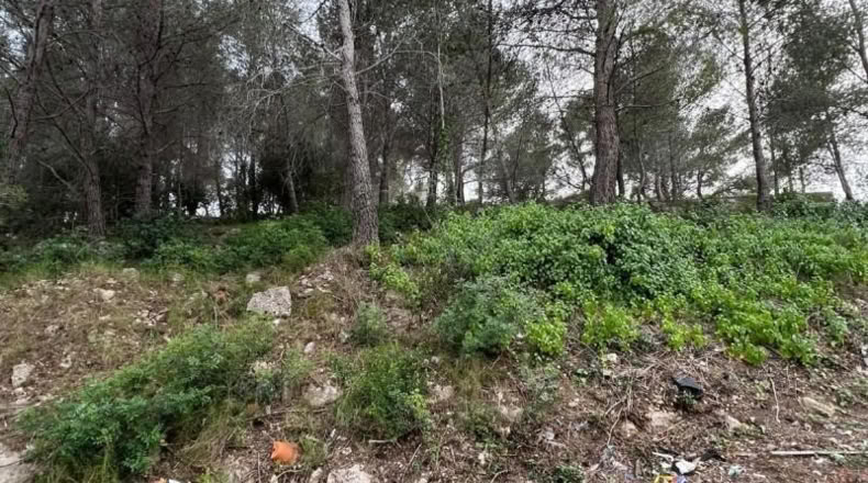 Tarragona - la Bisbal del Penedès - 465m2