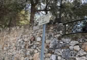 Sòl urbà en venda a la España, la Bisbal del Penedès, ref.: TR315962 foto