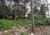 Sòl urbà en venda a la España, la Bisbal del Penedès, ref.: TR315962 foto