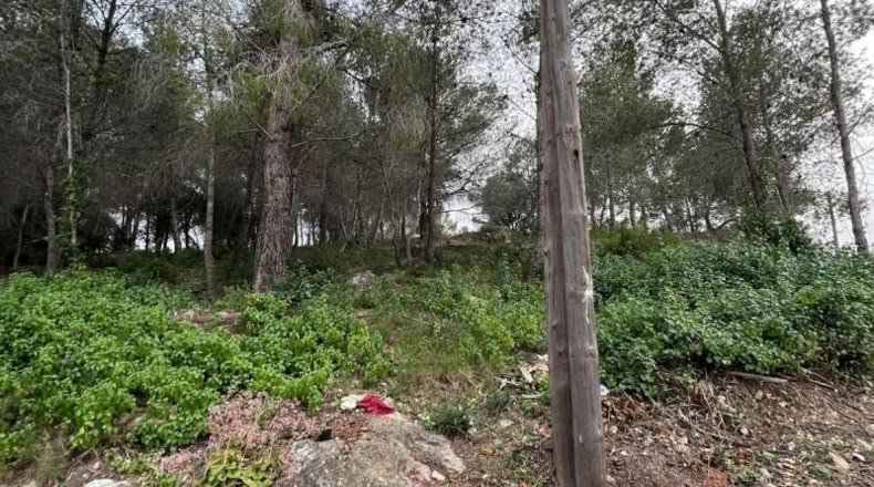 Tarragona - la Bisbal del Penedès - 465m2