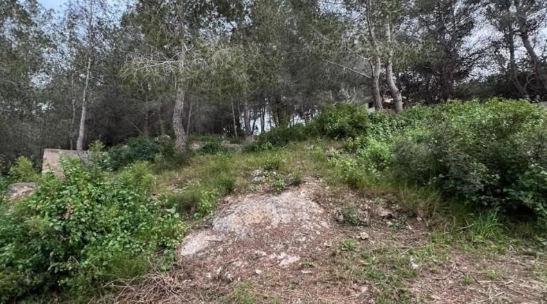 Tarragona - la Bisbal del Penedès - 465m2
