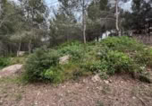 Sòl urbà en venda a la España, la Bisbal del Penedès, ref.: TR315962 foto
