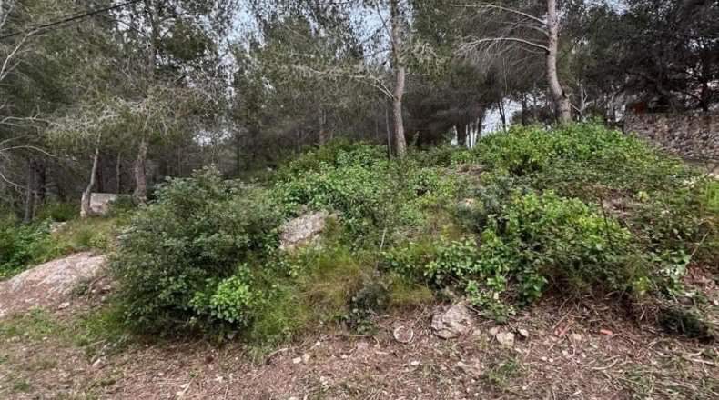 Tarragona - la Bisbal del Penedès - 465m2