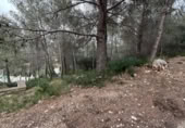 Sòl urbà en venda a la España, la Bisbal del Penedès, ref.: TR315962 foto