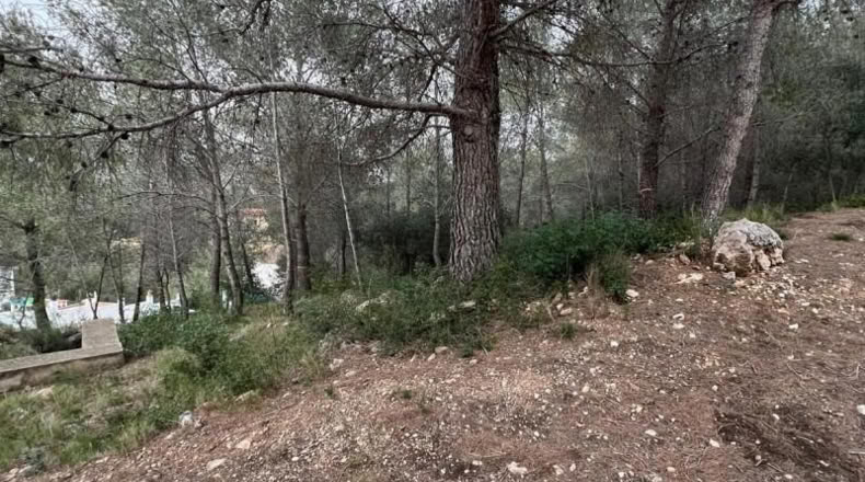 Tarragona - la Bisbal del Penedès - 465m2