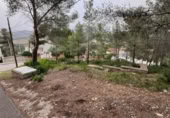 Sòl urbà en venda a la España, la Bisbal del Penedès, ref.: TR315962 foto