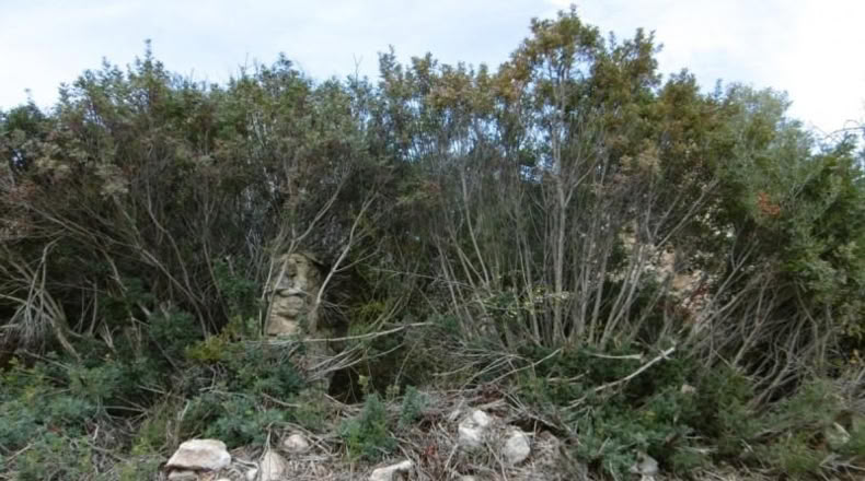 Castellon - Vall d'Alba - 2881m2