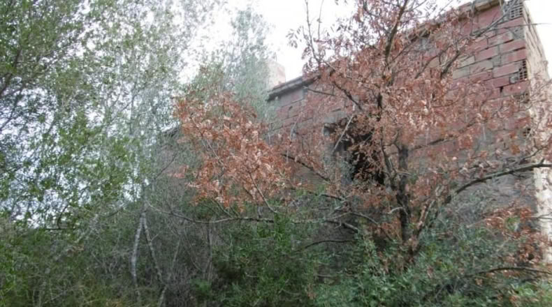 Castellon - Vall d'Alba - 2881m2