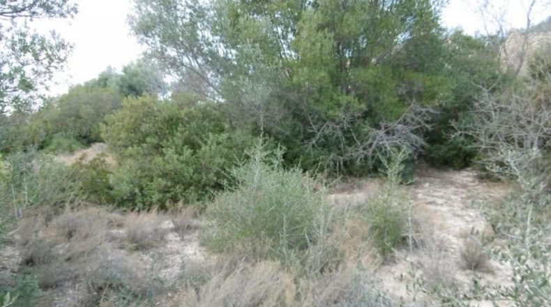 Castellon - Vall d'Alba - 2881m2
