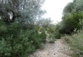 Casa de camp amb terreny en venda a la España, la Vall d'Alba, ref.: TR316746 foto