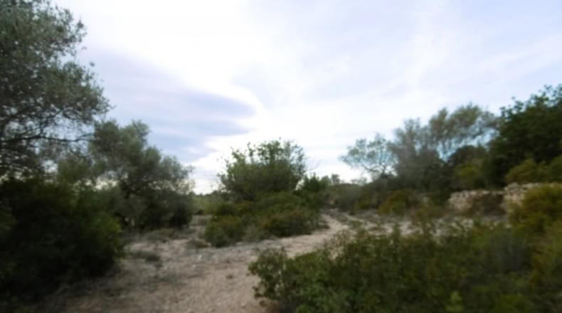 Castellon - Vall d'Alba - 2881m2